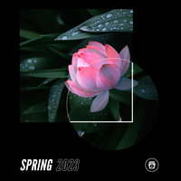 Bella - Deep House Lounge