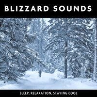 Snowing Sounds (Looped, No Fade) - Loopable Radiance