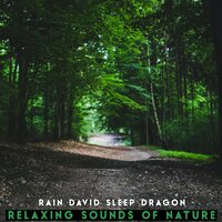 Ambient Lluvia - Rain David Sleep Dragon