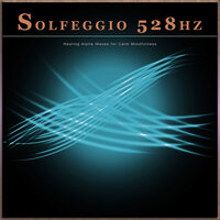Calm Healing and Wellness Music - Solfeggio Healing Frequencies & Solfeggio Frequencies 528Hz & Solfeggio