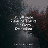 Divine Speaking - Binaural Beats & Spa & Spa & Regengeräusche