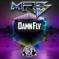Damn Fly - MRB
