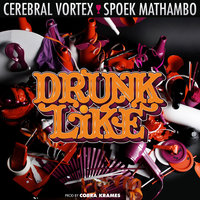 Drunk Like This - Spoek Mathambo