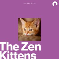 Sea Star's Sand Sculptors - Cat Music