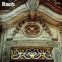 Non sa che sia dolore, BWV 209: Arie: Ricetti gramezza e pavento - Peter Schreier & Edith Mathis & Kammerorchester Berlin & Berliner Solisten & Werner Tast & Johann Sebastian Bach