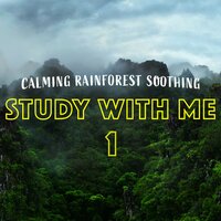 Calming Rainforest Soothing, Pt. 8 - Bryan Maxwell