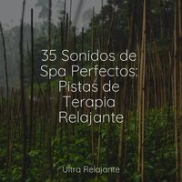Meditación De Enfoque Profundo - Canciones Infantiles De Niños & Masajes Spas & Música Para Dormir Inspirada En El Espacio