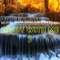 Relaxing Autumn Forest Flow River Sounds, Pt. 19 - Bryan Maxwell