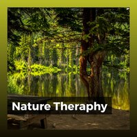 Calm Nature Sounds with Music, Pt. 39 - Organic Nature Sounds