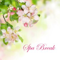 Sad Violin Music - Spa & Spa