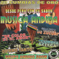 Sin Chamba - Grupo Andino Show