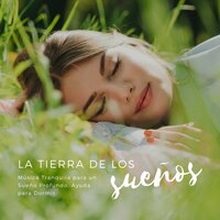 Chakra - Musica Tranquila Maestro