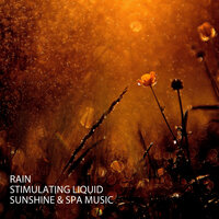 Bursting Rain Water Music - Exam Study Classical Music Orchestra & The Yoga Mantra and Chant Music Project & Yoga Nidra