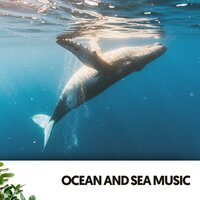 Armonía celestial - Dog Relaxation & Ocean Sounds FX & Musica relajante dormir