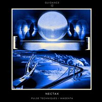 Magenta - Nectax