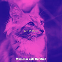 Magical (Sleeping Cats) - Music for Cats Curation
