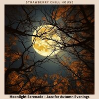 Stars and Jazz Interlude - Strawberry Chill House