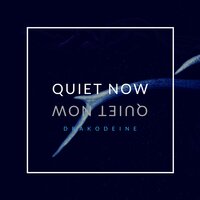 Quiet Now - DRAKODEiNE