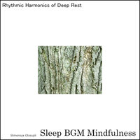 Rejuvenating Dreams with Soundwave Nourishment - Sleep BGM Mindfulness
