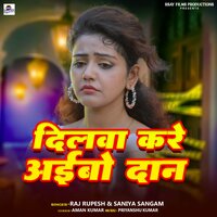 Dilwa Kare Aibo Daan - Raj Rupesh & Saniya Sangam