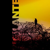 Vigilante - Goba