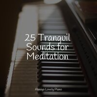 Lovely Tunes - Piano para Relajarse & Piano Bar Music Specialists & Tranquil Music Sound Of Nature