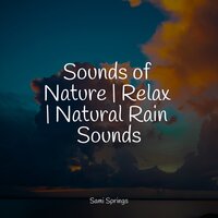 Wet Outside - Sonido de lluvia & Nature and Rain & Natural Samples
