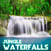 Jungle Waterfalls - Water Sounds & The Nature Sounds & Nature Sound & The Sounds of Nature & Nature Essentials & Weather White Noise