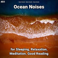 Ocean Noises Pt. 5 - Beach Sounds & Nature Sounds & Ocean Sounds