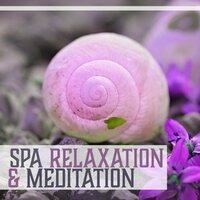 The Feeling - Meditation Music Masters