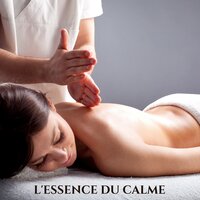 Nuit Tranquille - Musique Zen Garden & Spa Musique Collection