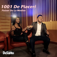 1001 DE PLACERI - PUISOR DE LA MEDIAS