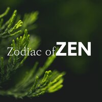Relax Time - Nirvana Meditation School Master