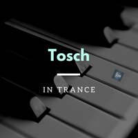 Steam - Tosch
