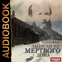 Достоевский Федор Михайлович. «Записки из мертвого дома». Часть 17 - Fan 12