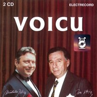 Simfonia nr. IX în Mi minor in E Minor: IV. - Ion Voicu & Mădălin Voicu & Orchestra festivalului Campos do Jordao & Brasilia-Brasilia & Антонин Дворжак