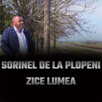 Soferul de cursa lunga - SORINEL DE LA PLOPENI