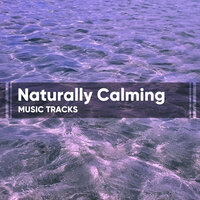 Brainwaves Within - Musique Relaxante Relax