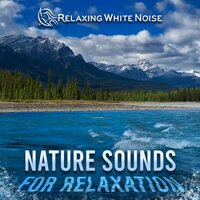 Bamboo Water Fountain (Loop, No Fade) - Relaxing White Noise