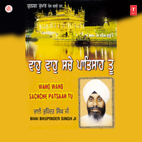 Rang Raliya Manho Mere Pyare - Bhai Bhupinder Singh Ji
