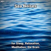 Sea Noises Part 24 - shoreline sounds & Nature Sounds & Ocean Sounds