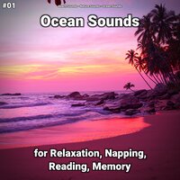 Ocean Sounds Pt. 4 - Beach Sounds & Nature Sounds & Ocean Sounds