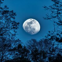 Softly Into Slumber - Relaxing Sleep Meditation & Binaural Moods & Slumber Songs