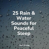 Wetland, Pond, Animals - Meditation & Easy Sleep Music & Binaural Creations