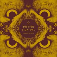 The Ropes - Diction