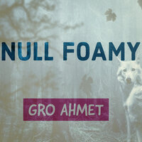 Shame - Gro Ahmet