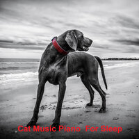Does Music Affect A Dogs Behaviour - Music for dog's joys & Music For Cats