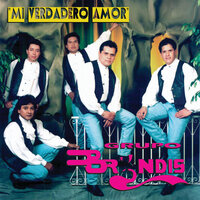 Quiero Volver A Verte - Grupo Bryndis