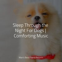 Chilling Music - RelaxMyDog & Calming Music for Dogs & Relaxation Music For Dogs