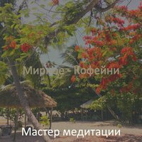 Мирные залы ожидания - Мастер медитации